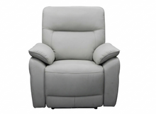 Load image into Gallery viewer, Electric Recliner
