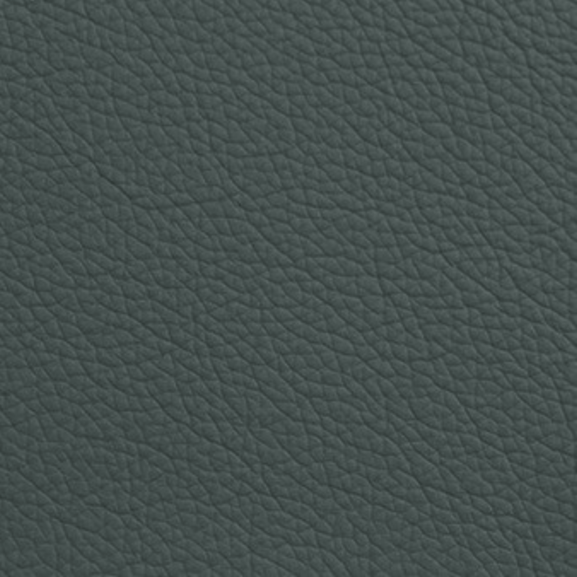 Dual Motor Lift Chair