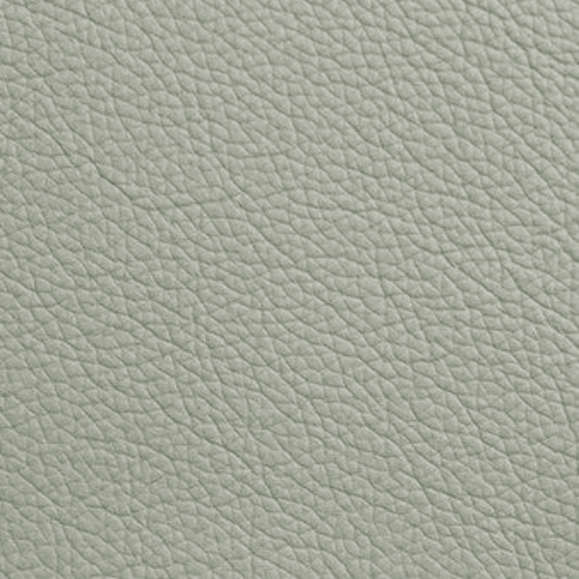 Dual Motor Lift Chair