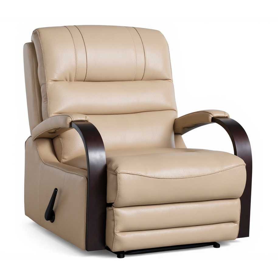 Dual Motor Lift Chair