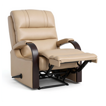 Load image into Gallery viewer, Dual Motor Lift Chair

