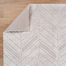 Load image into Gallery viewer, Tender Chevron Beige Shag Rug
