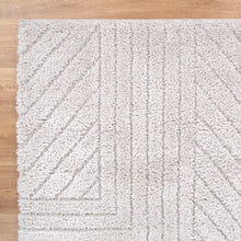 Load image into Gallery viewer, Tender Modern Beige Shag Rug
