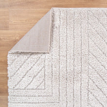 Load image into Gallery viewer, Tender Modern Beige Shag Rug
