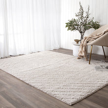 Load image into Gallery viewer, Tender Modern Beige Shag Rug
