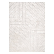 Load image into Gallery viewer, Tender Modern Beige Shag Rug
