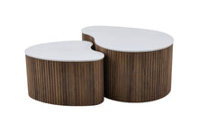 Load image into Gallery viewer, Coffee Table Set
