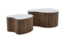 Load image into Gallery viewer, Coffee Table Set
