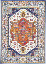 Load image into Gallery viewer, Multi Oriental Rug
