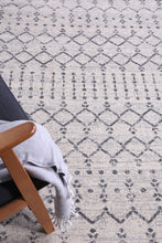 Load image into Gallery viewer, Grey Modern Rug

