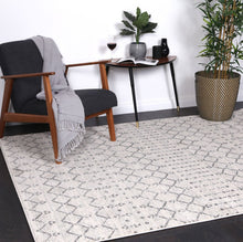 Load image into Gallery viewer, Grey Modern Rug
