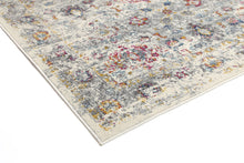 Load image into Gallery viewer, Multi Grey Traditional Rug
