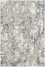 Load image into Gallery viewer, Grey Modern Rug
