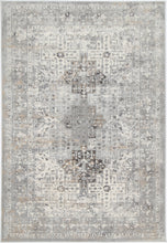 Load image into Gallery viewer, Grey Oriental Rug
