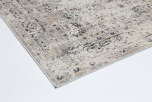 Load image into Gallery viewer, Beige Grey Contemporary Rug
